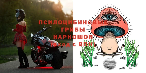 ешки Карпинск
