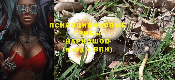 мдма Каменногорск
