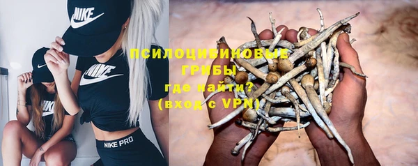 COCAINE Каменка