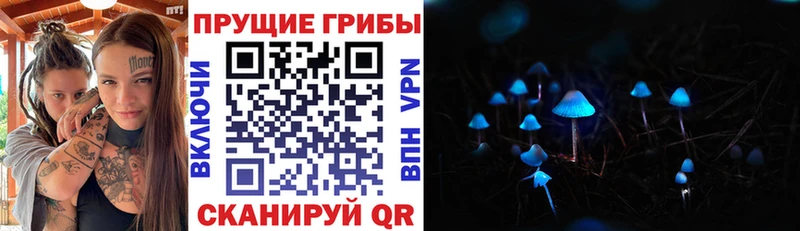 Псилоцибиновые грибы Magic Shrooms  Купить  Зея 